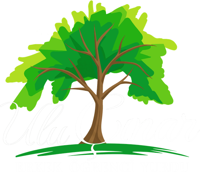 Ulu Çınar Erkek Öğrenci Yurdu